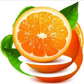橙子视频 v3.0